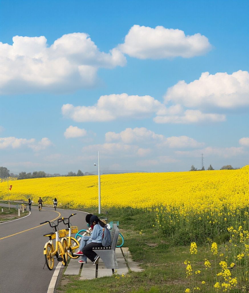 Chengdu's Integration of Modernity and Nature；