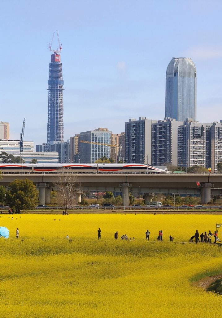 Chengdu Spring Travel